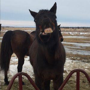 Meet your Posher, Johanna